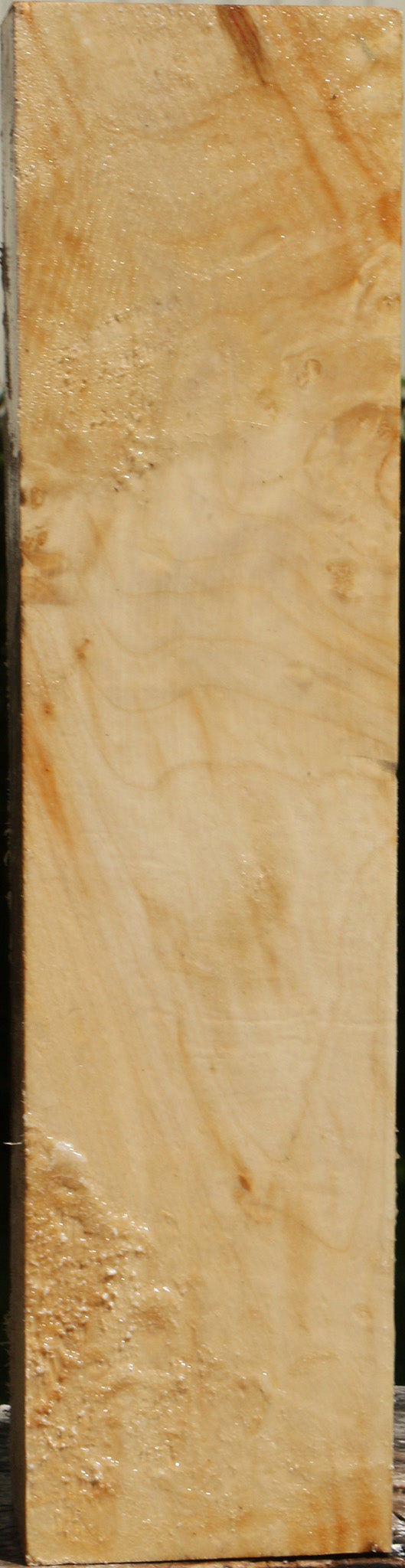 Extra Fancy Box Elder Vessel Blank