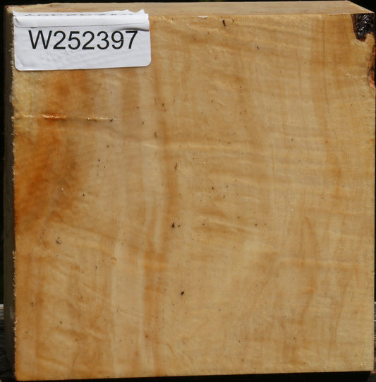 Extra Fancy Box Elder Bowl Blank