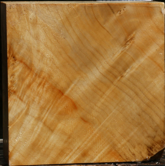 Extra Fancy Box Elder Bowl Blank