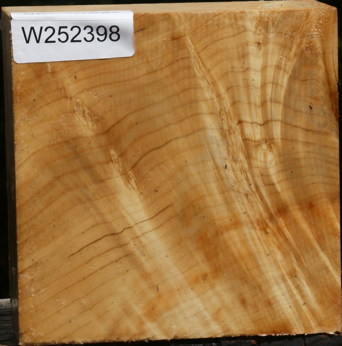 Extra Fancy Box Elder Bowl Blank