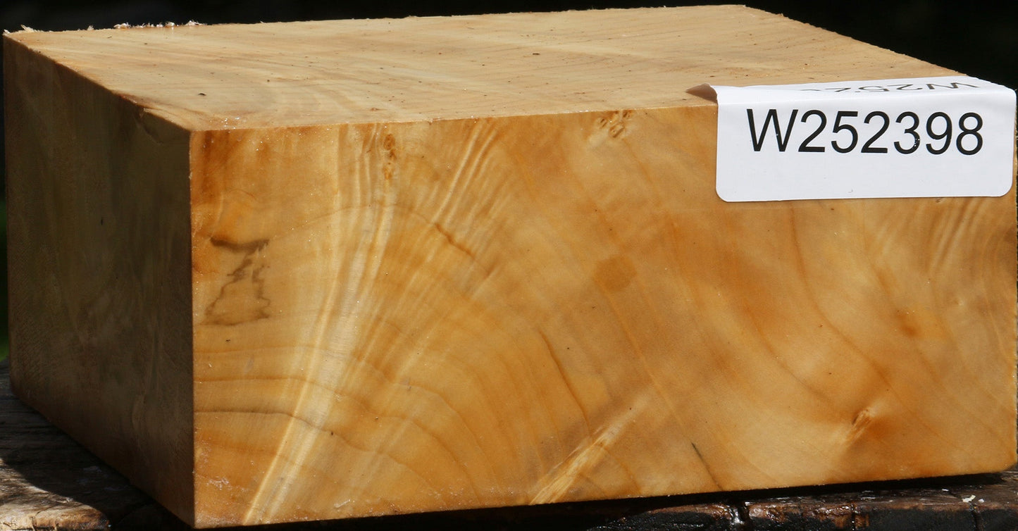 Extra Fancy Box Elder Bowl Blank