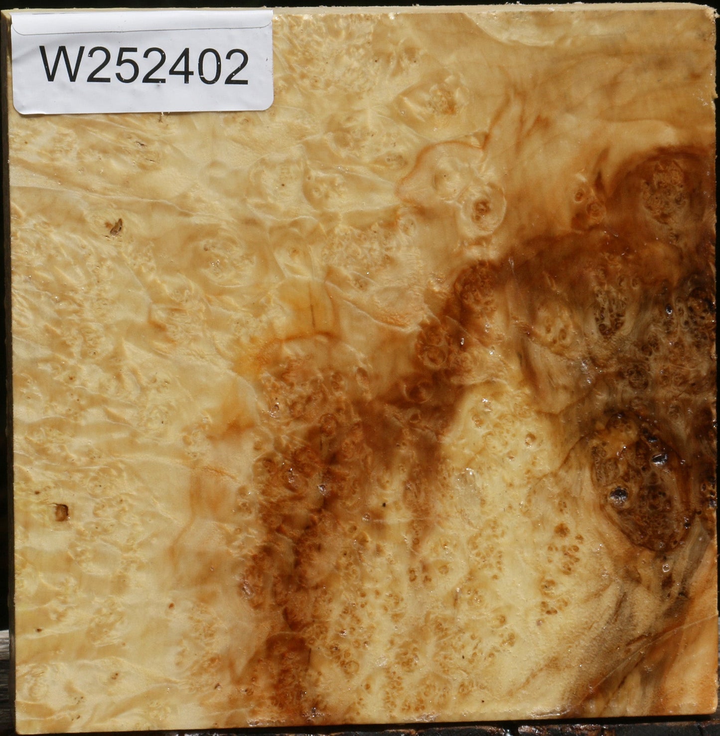 Box Elder Burl Bowl Blank