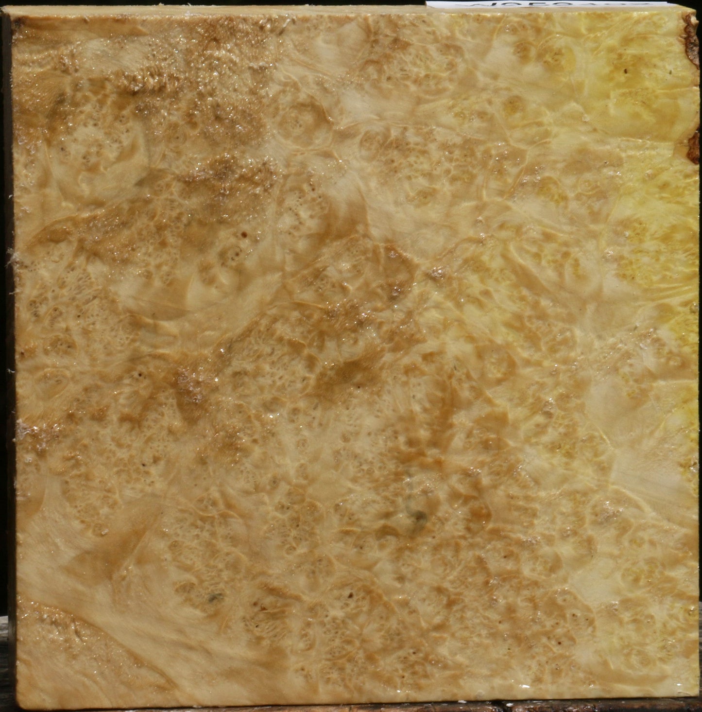 Box Elder Burl Bowl Blank