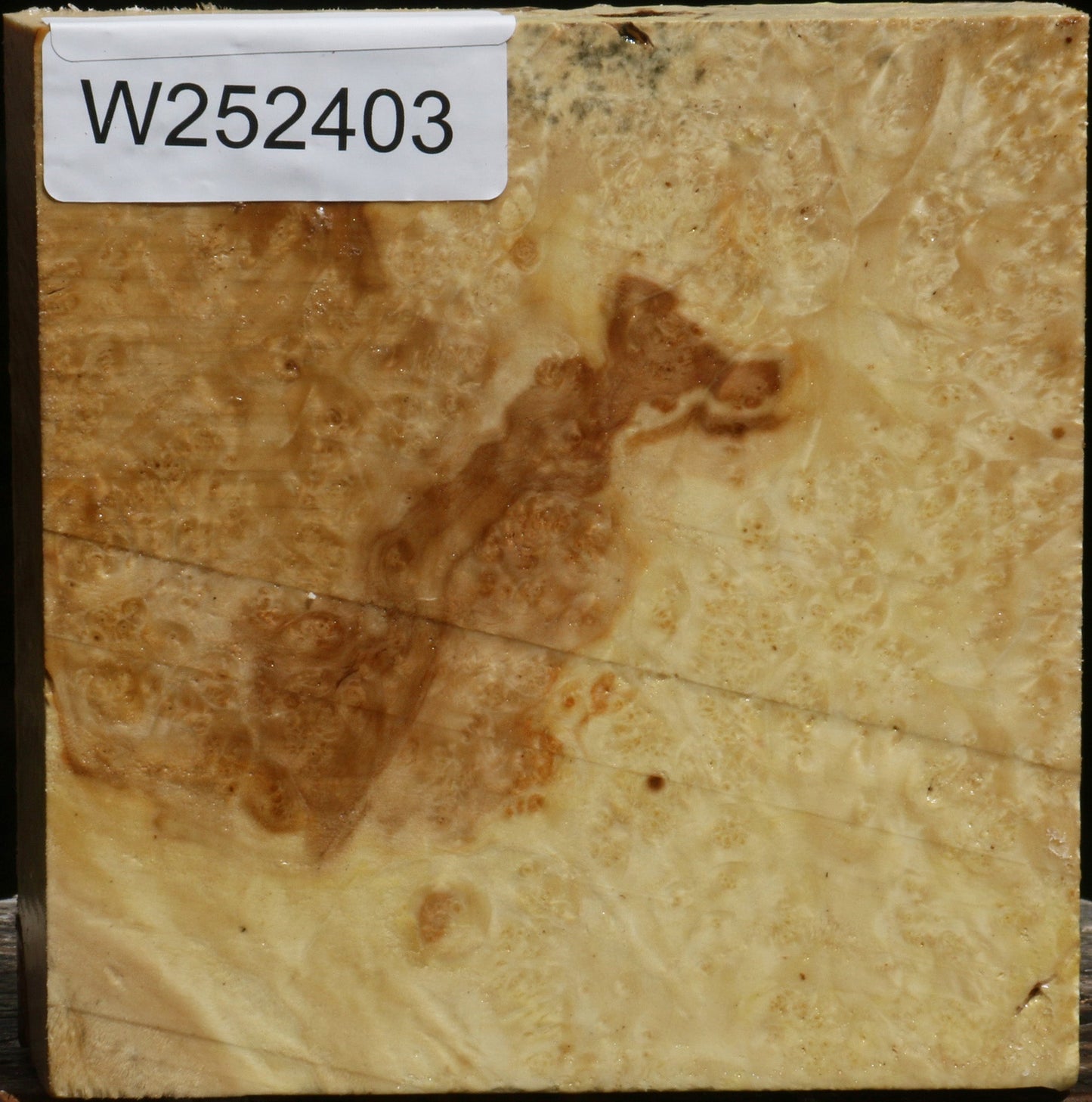 Box Elder Burl Bowl Blank