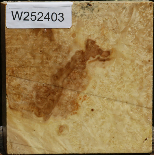 Box Elder Burl Bowl Blank