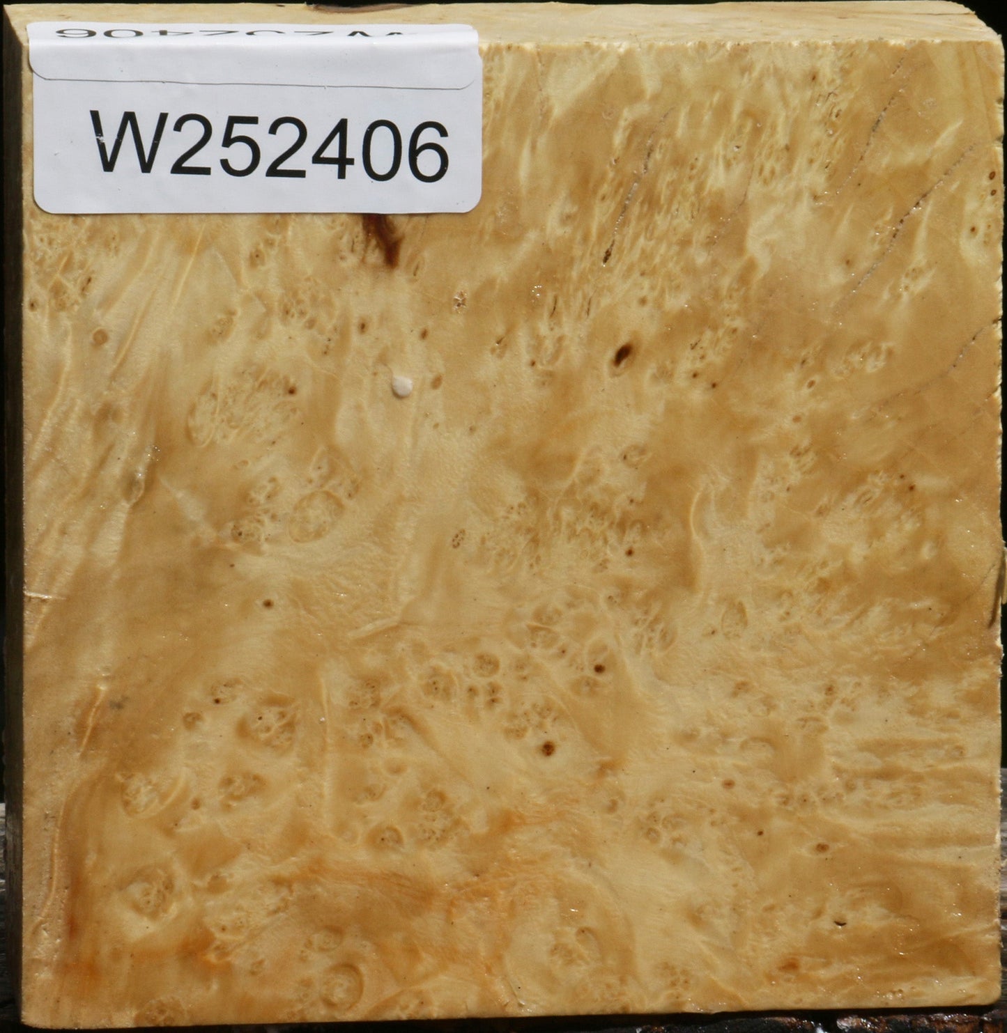Box Elder Burl Bowl Blank
