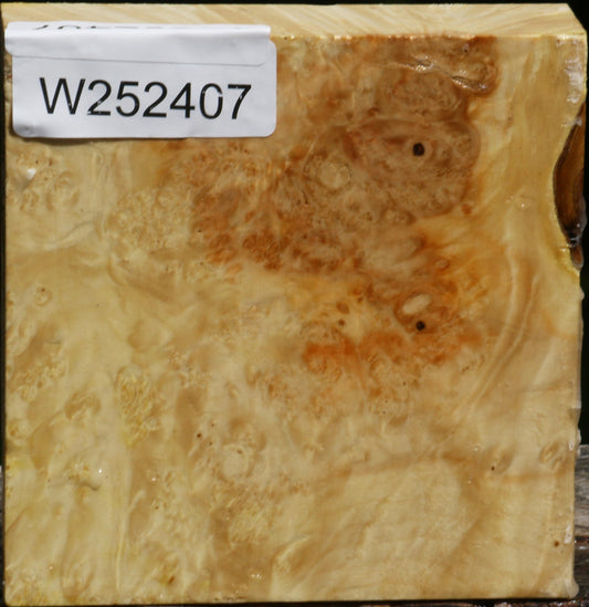 Box Elder Burl Bowl Blank