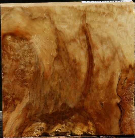 Box Elder Burl Bowl Blank