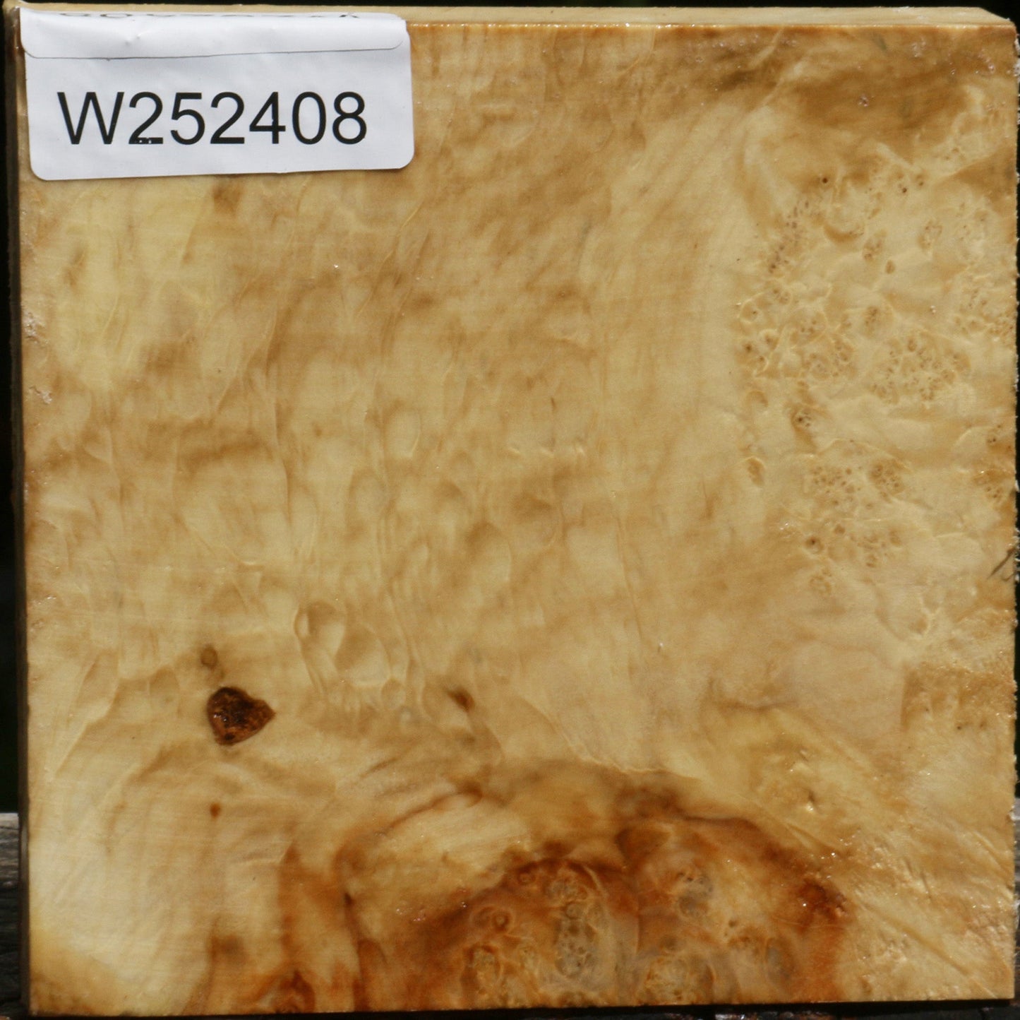 Box Elder Burl Bowl Blank