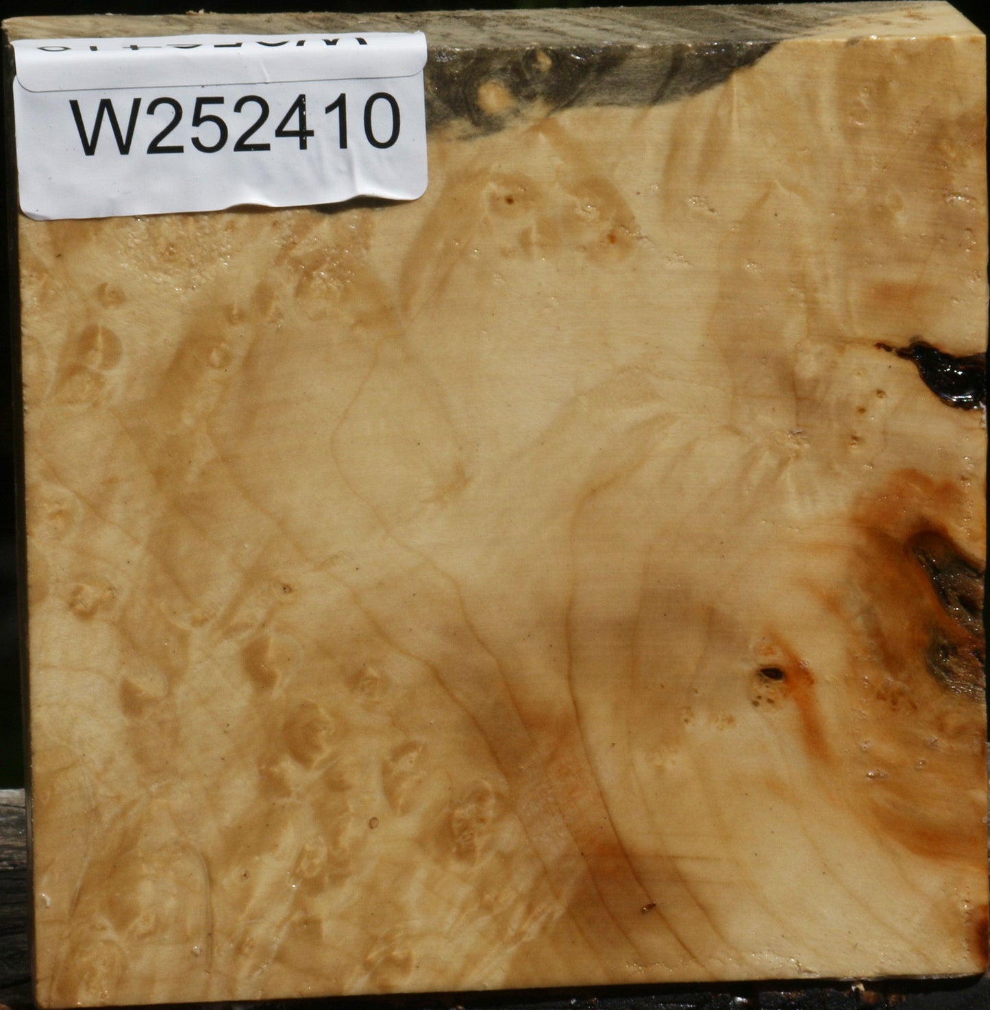 Box Elder Burl Bowl Blank