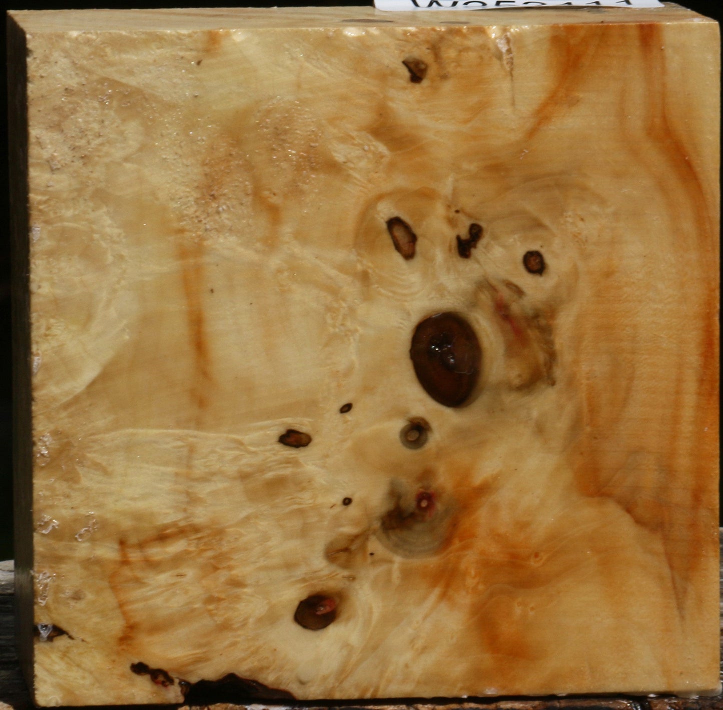 Box Elder Burl Bowl Blank