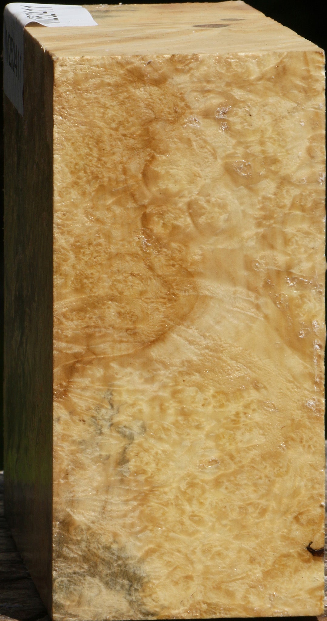 Box Elder Burl Bowl Blank