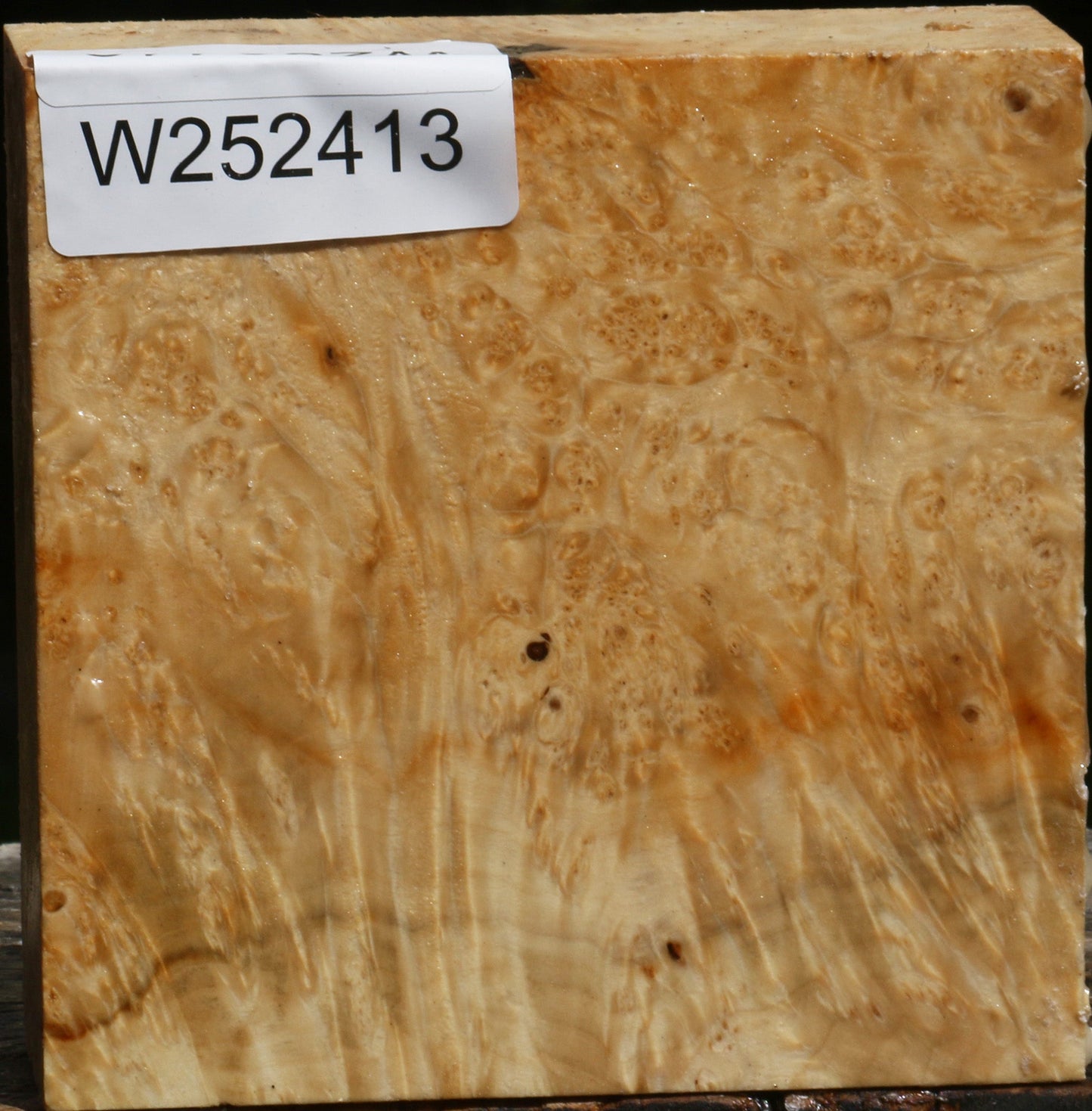 Box Elder Burl Bowl Blank