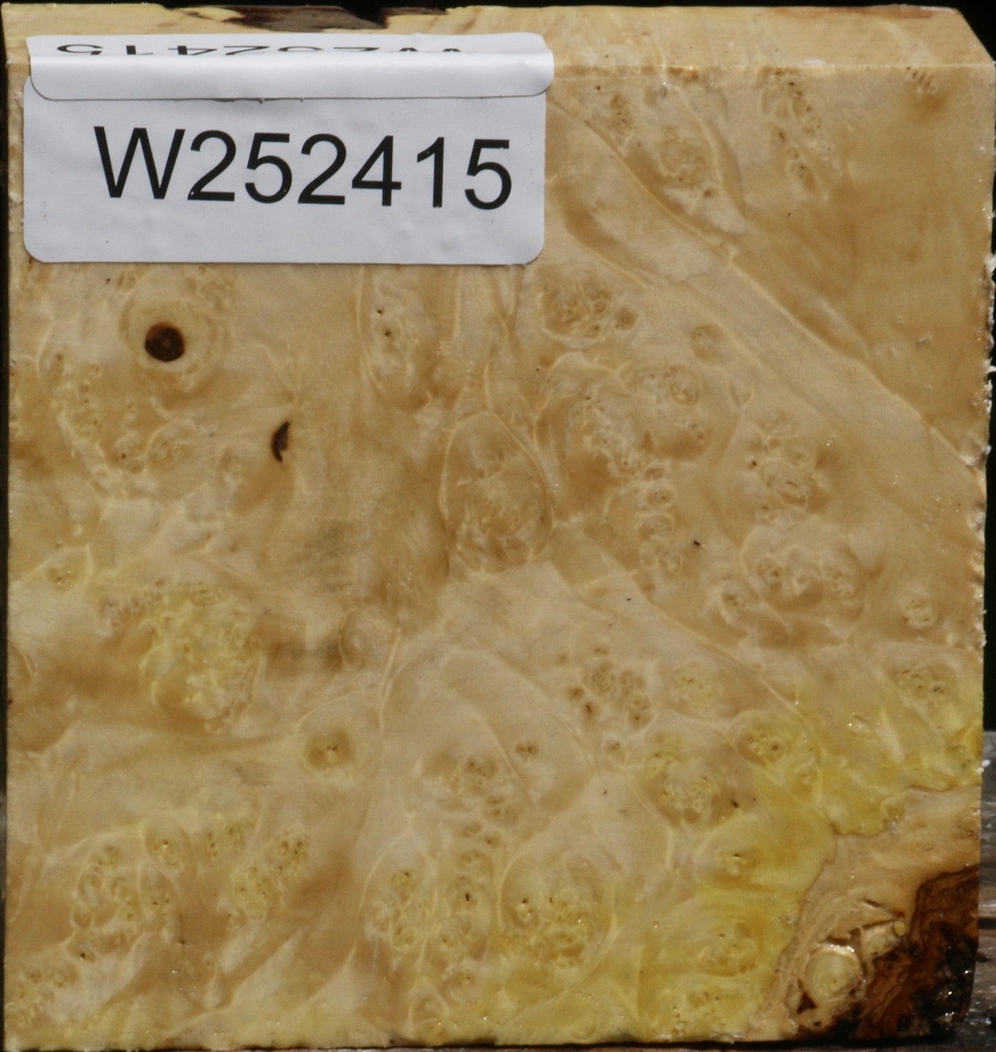 Box Elder Burl Bowl Blank
