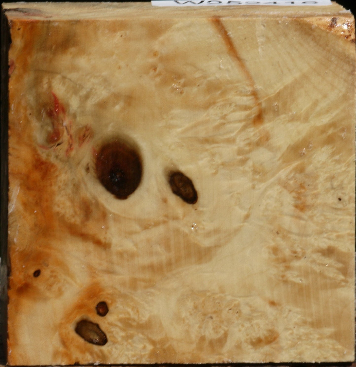 Box Elder Burl Bowl Blank