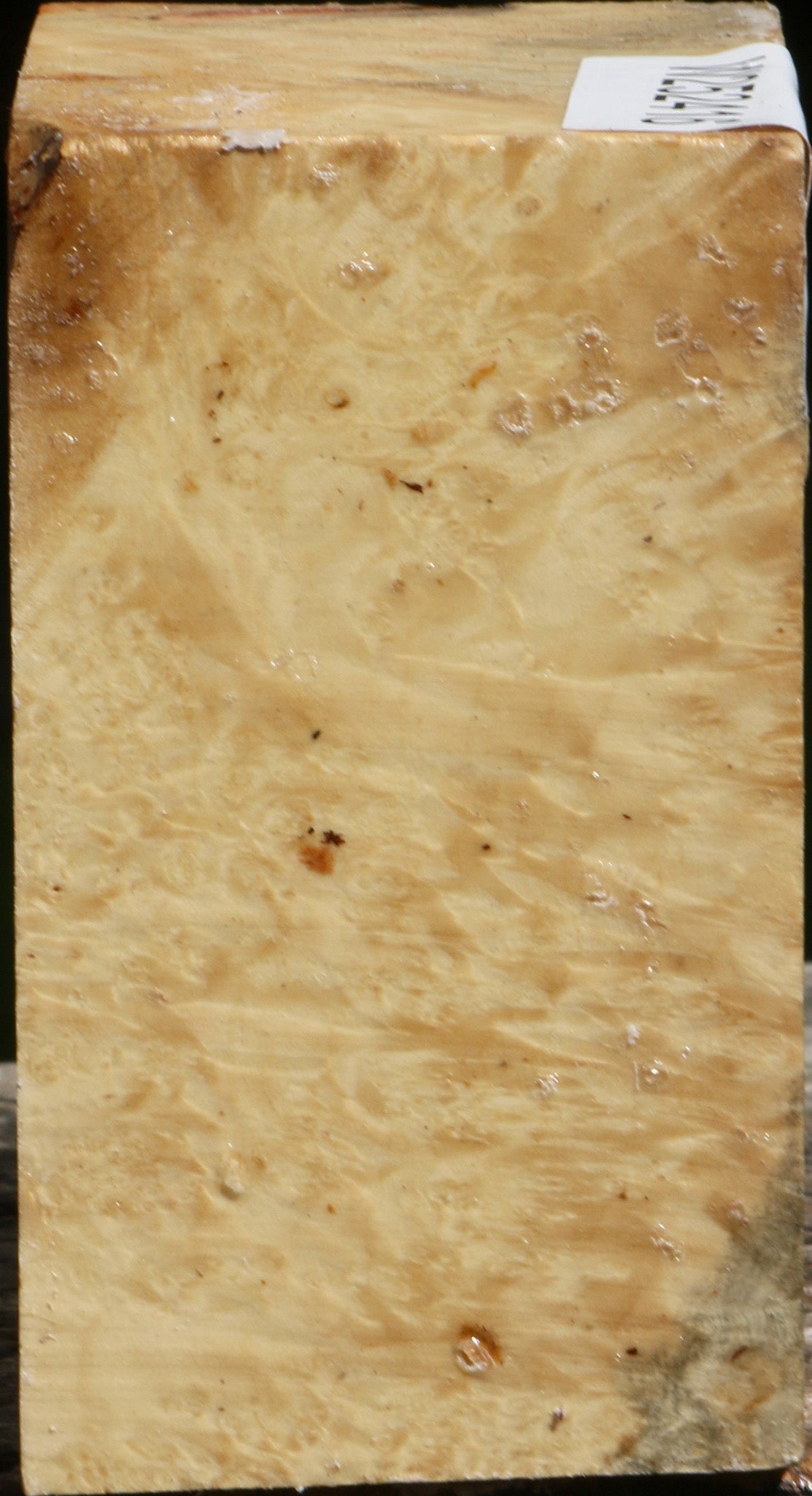 Box Elder Burl Bowl Blank