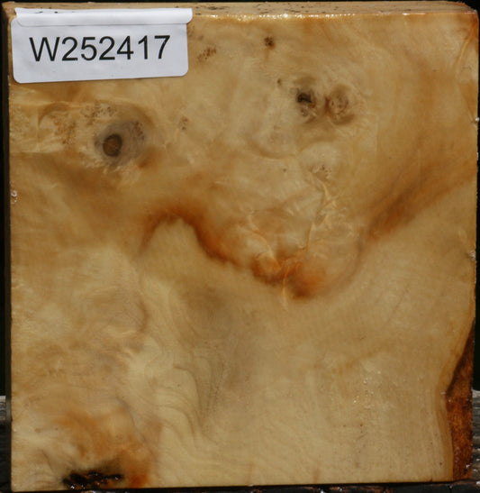 Figured Box Elder Bowl Blank