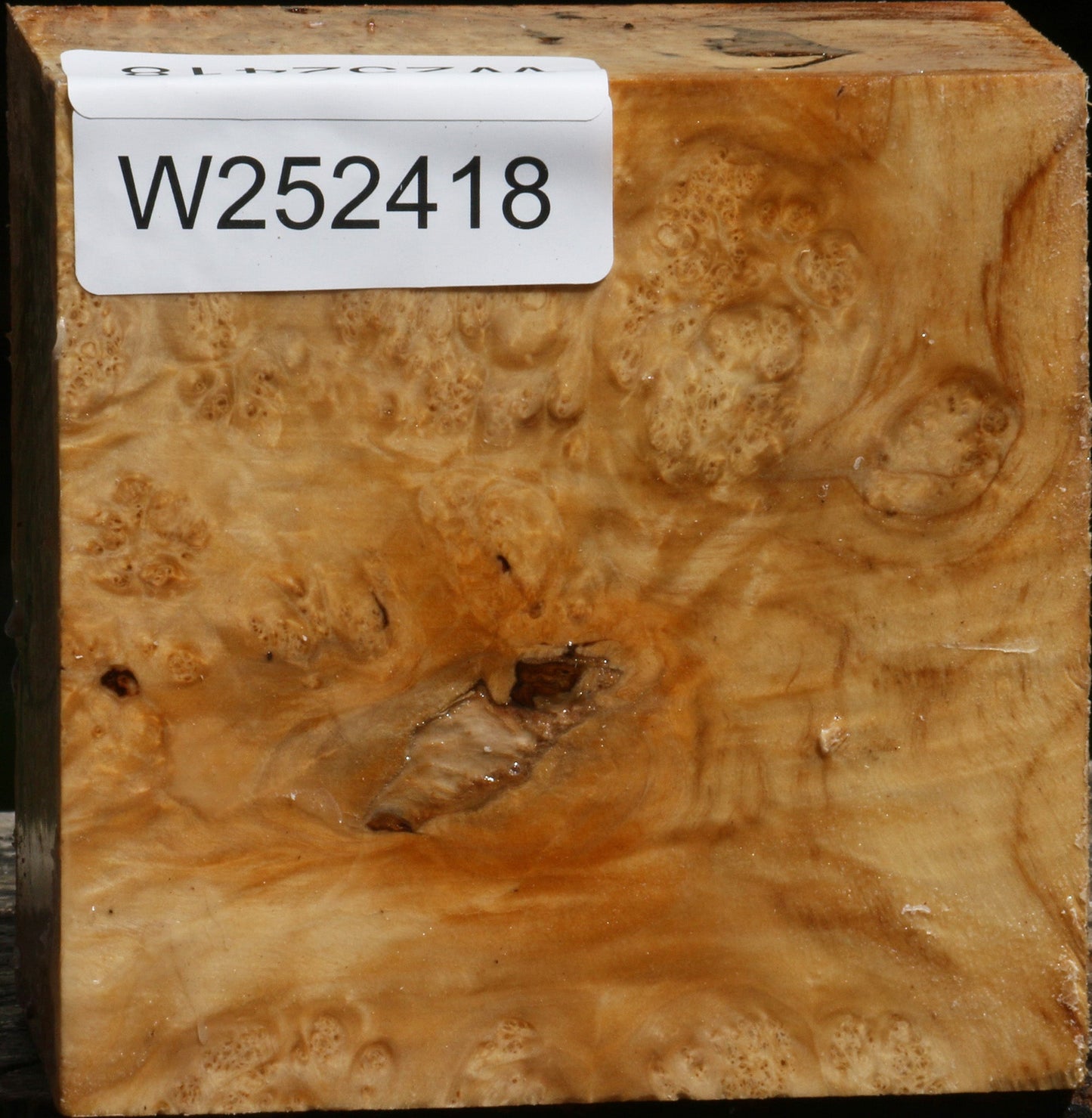 Rustic Box Elder Burl Bowl Blank