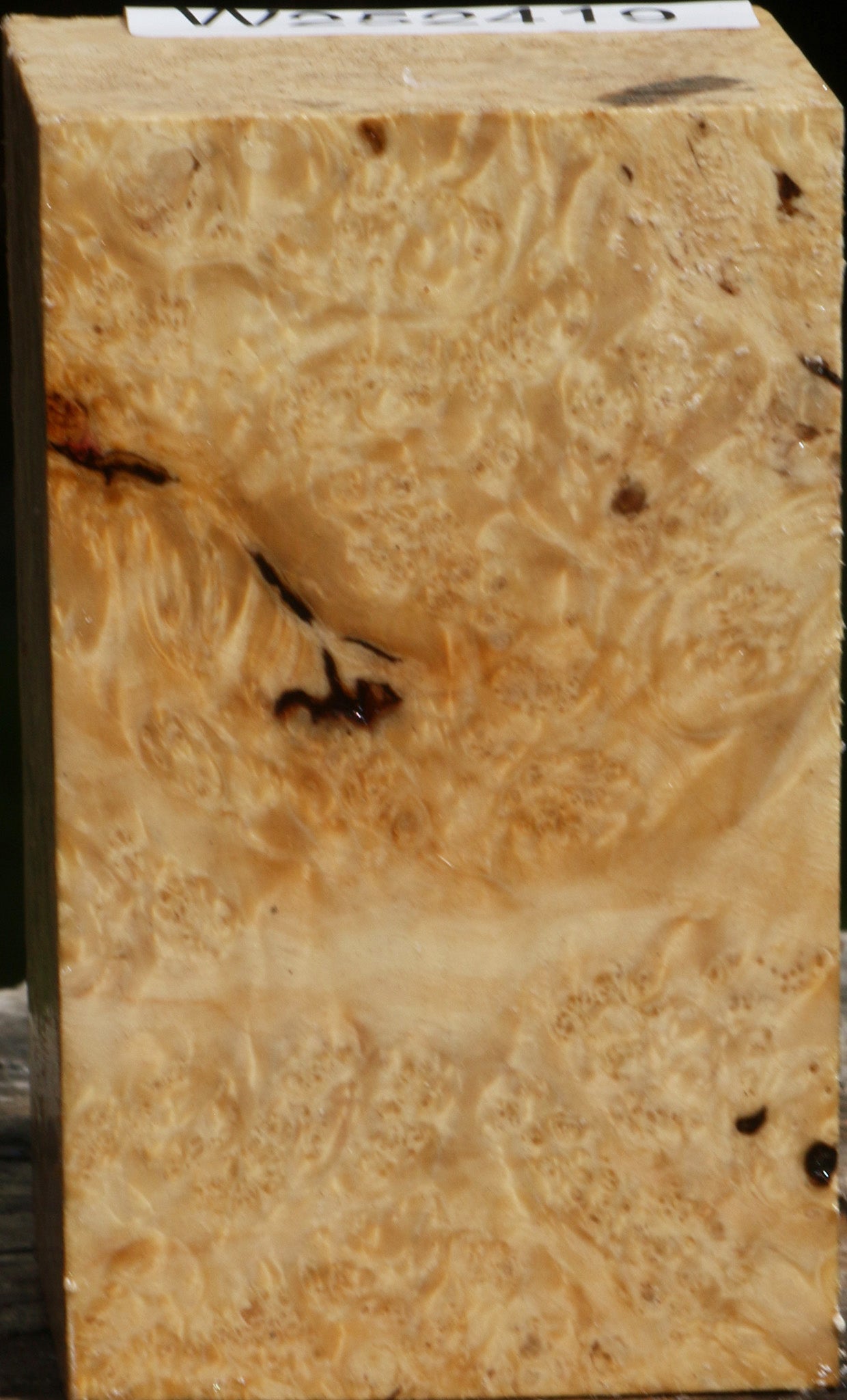 Box Elder Burl Turning Square