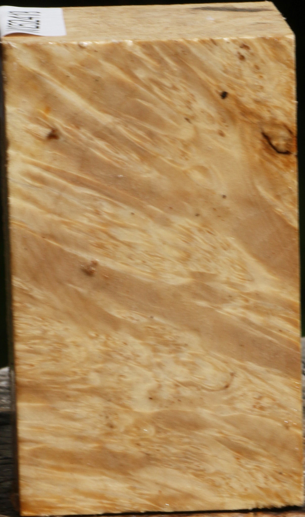 Box Elder Burl Turning Square
