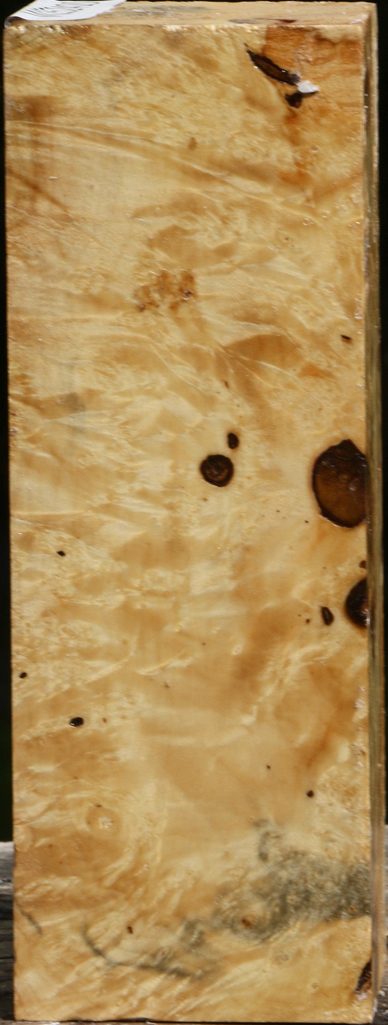 Rustic Box Elder Burl Turning Square