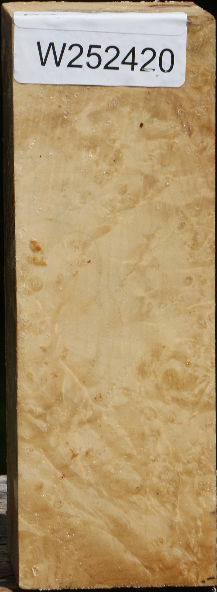 Rustic Box Elder Burl Turning Square