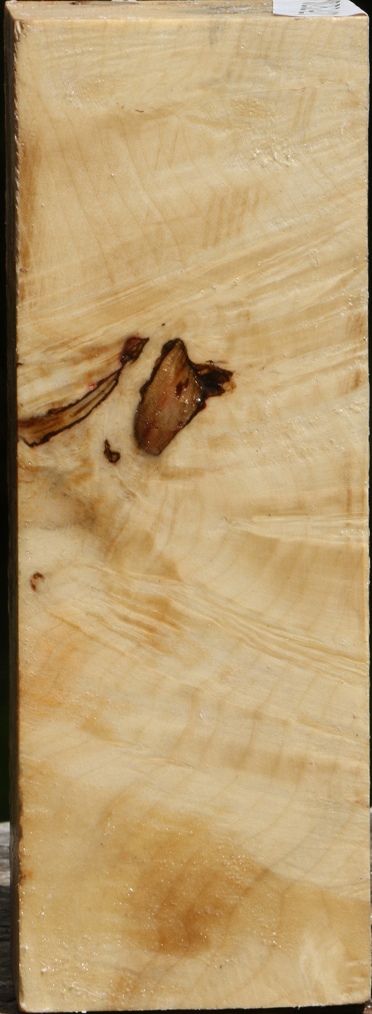 Rustic Box Elder Burl Turning Square