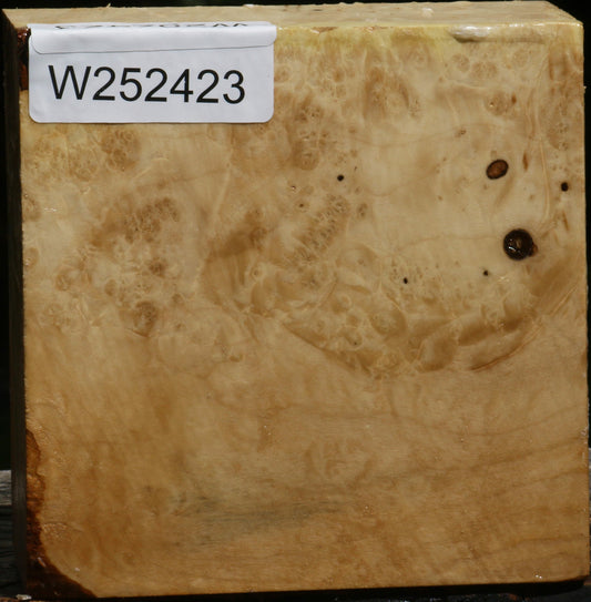 Rustic Box Elder Burl Bowl Blank