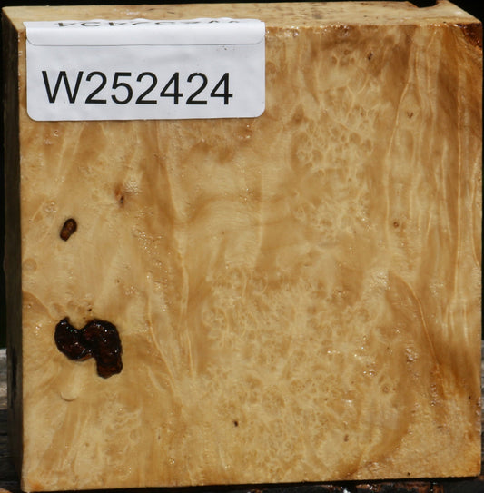 Box Elder Burl Bowl Blank