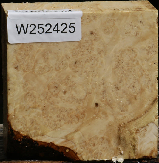 Box Elder Burl Bowl Blank