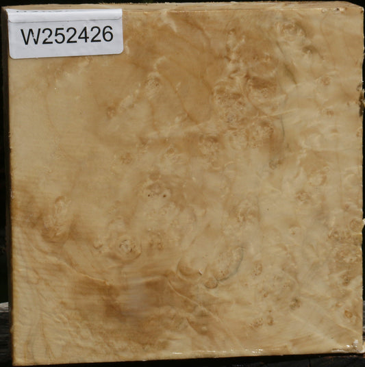 Box Elder Burl Bowl Blank