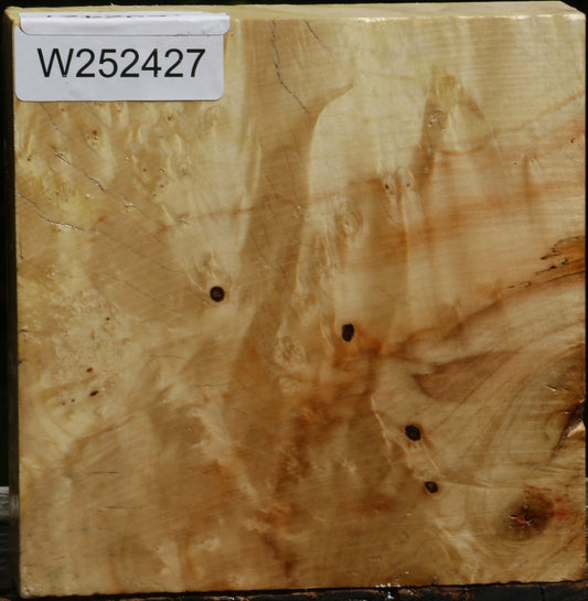 Box Elder Burl Bowl Blank