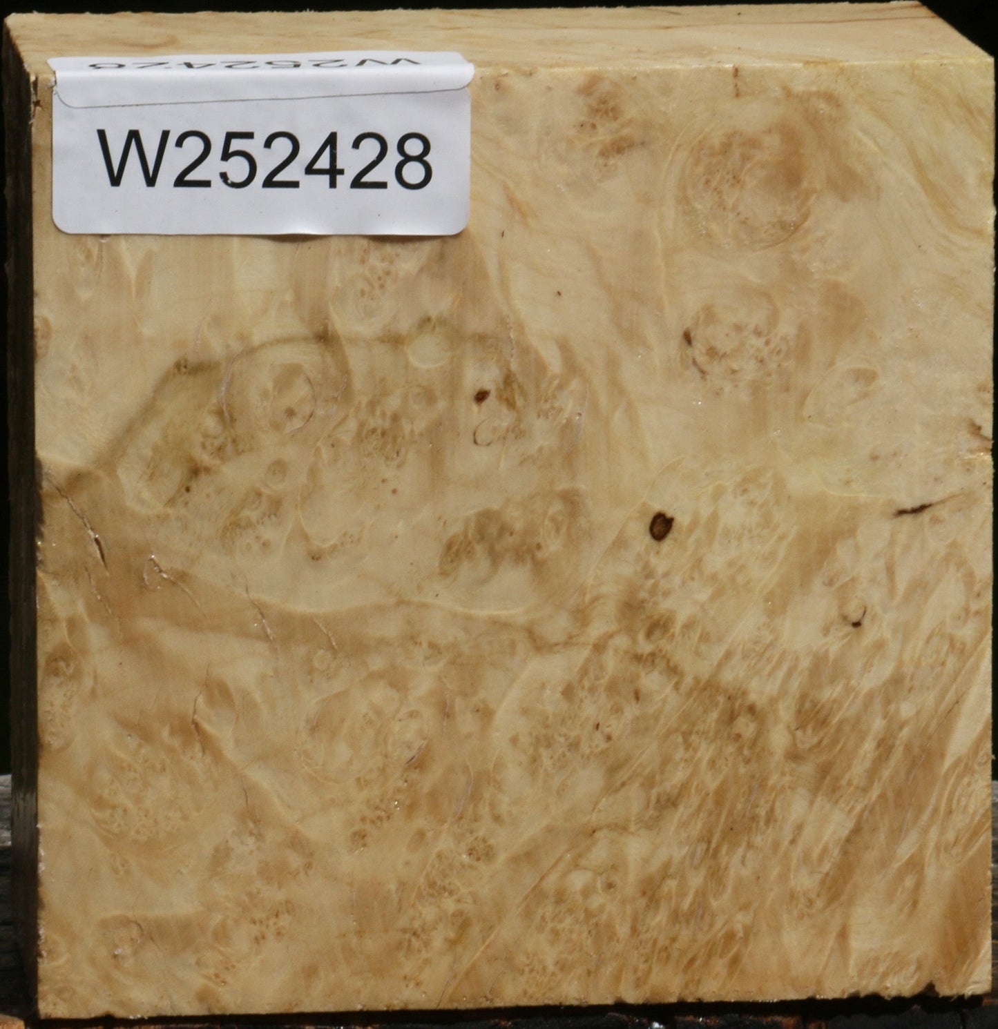 Box Elder Burl Bowl Blank