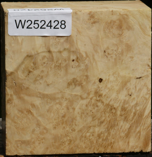 Box Elder Burl Bowl Blank