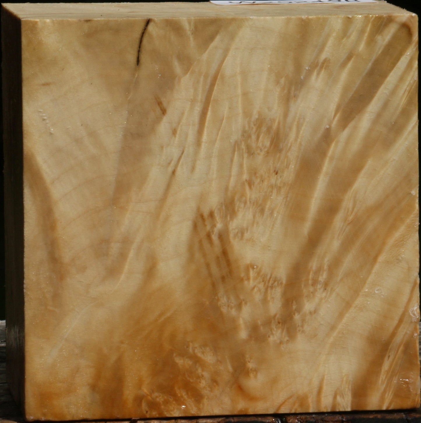 Box Elder Burl Bowl Blank