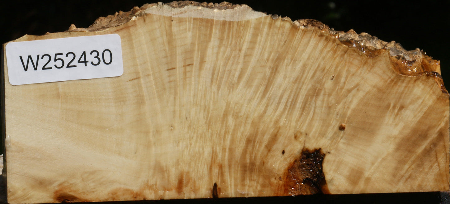 Rustic Box Elder Burl Live Edge Turning Blank