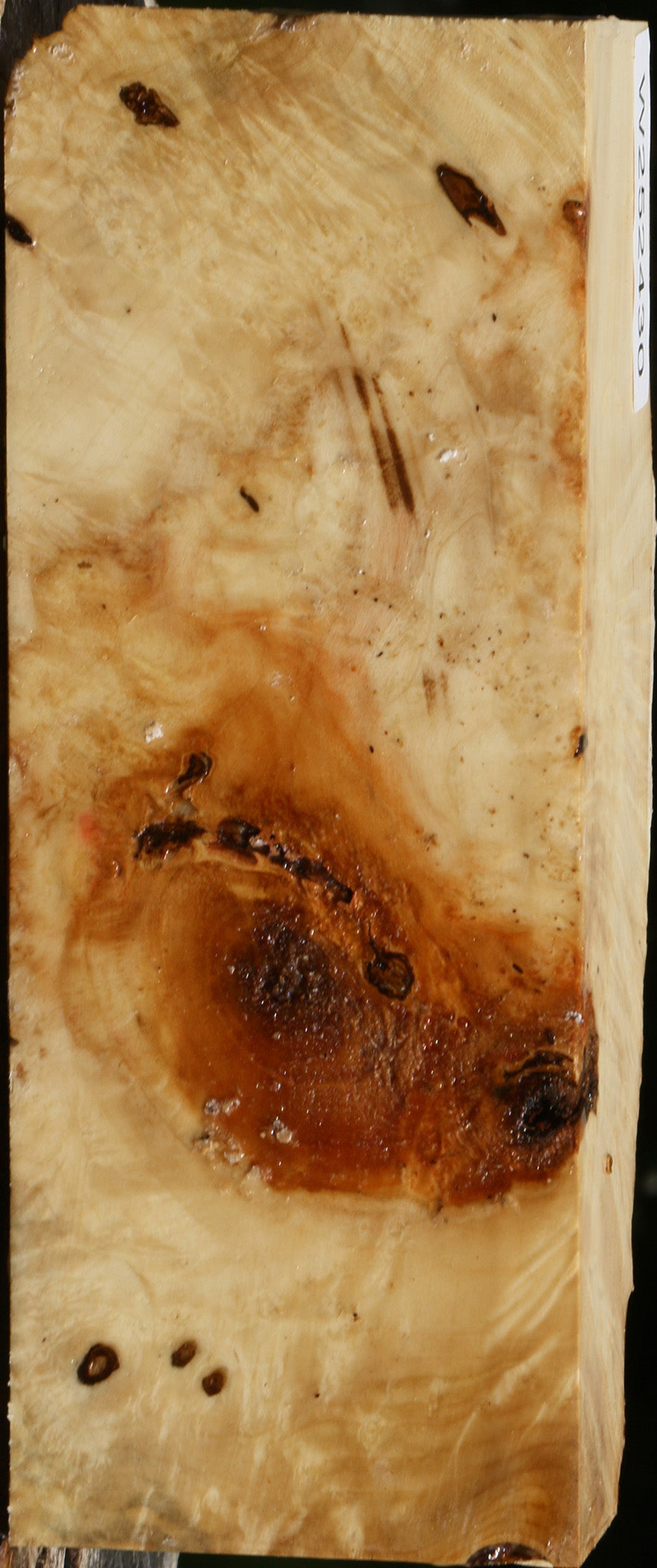Rustic Box Elder Burl Live Edge Turning Blank