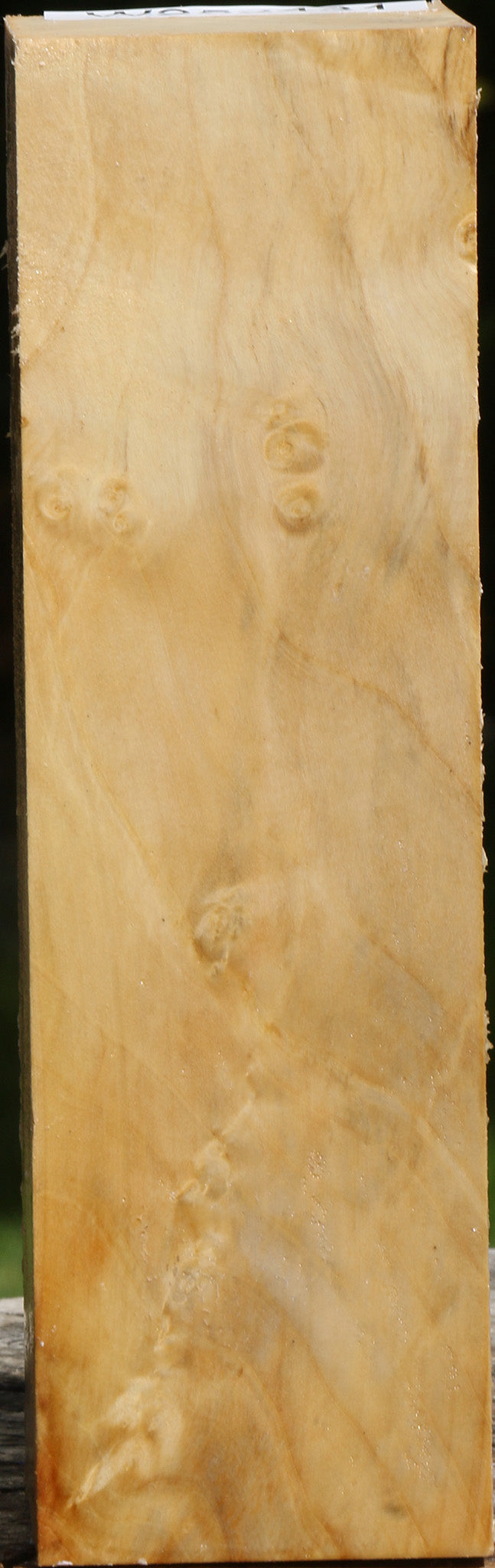Box Elder Peppermill