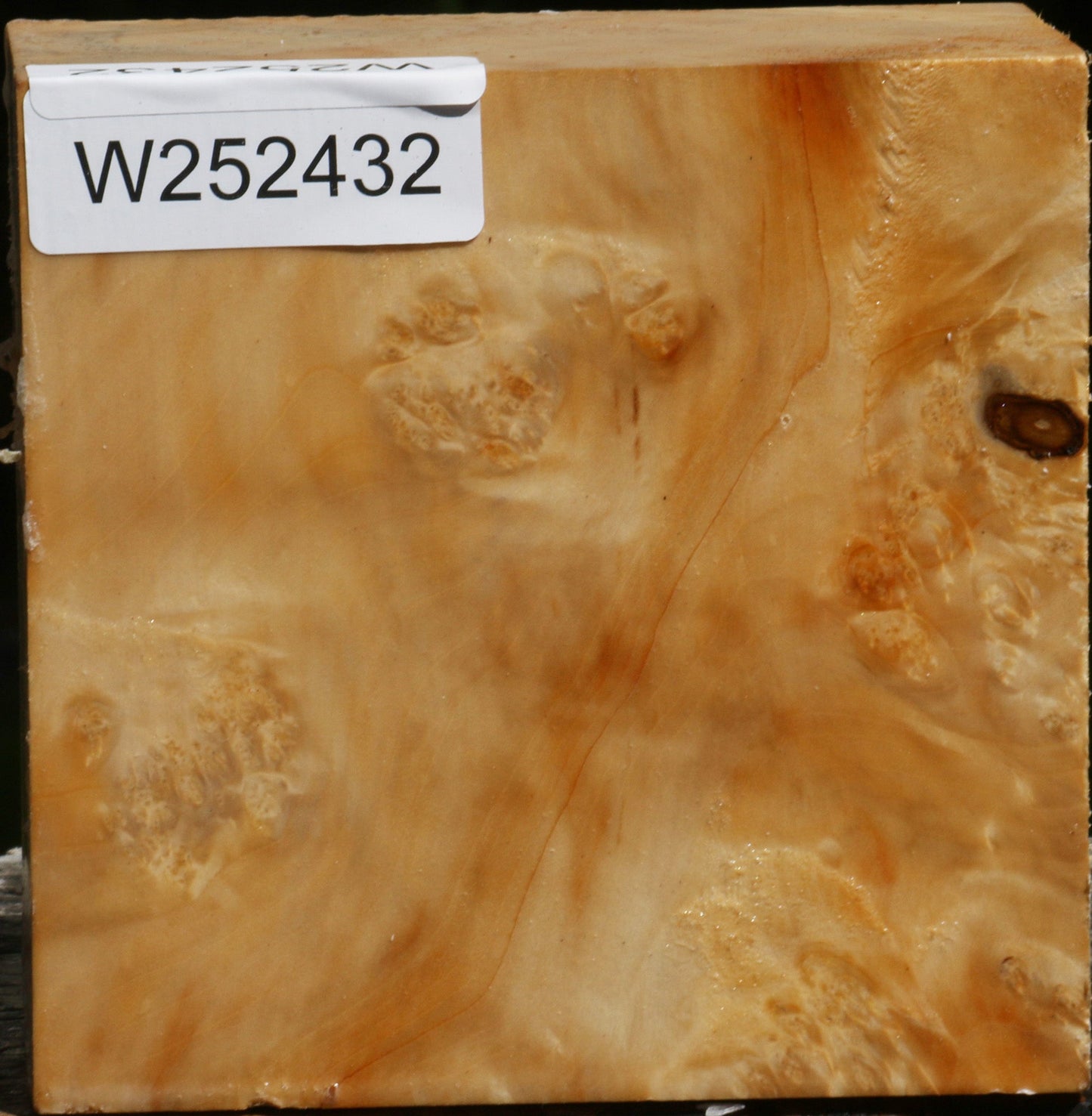 Extra Fancy Box Elder Bowl Blank