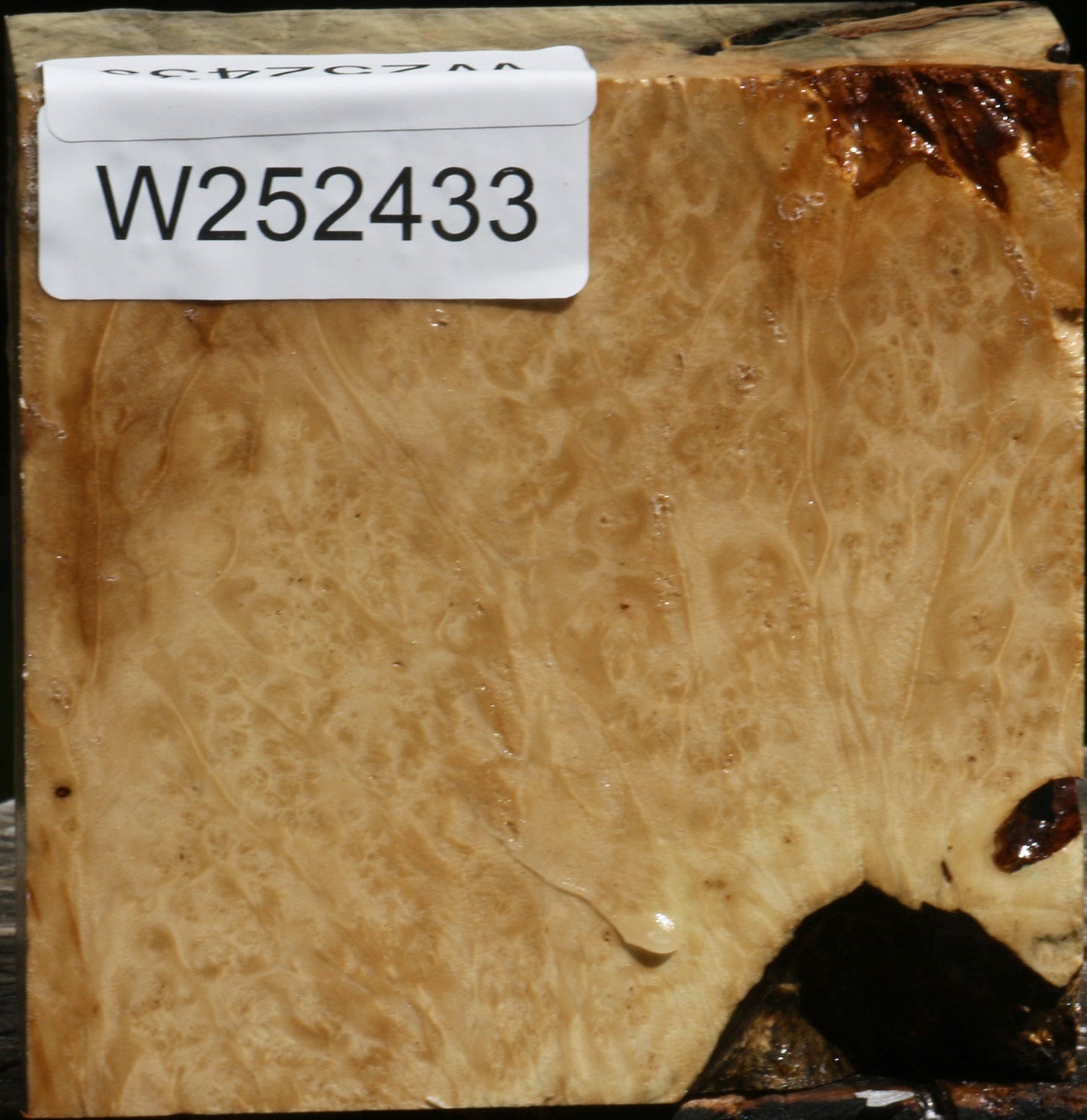 Box Elder Burl Bowl Blank
