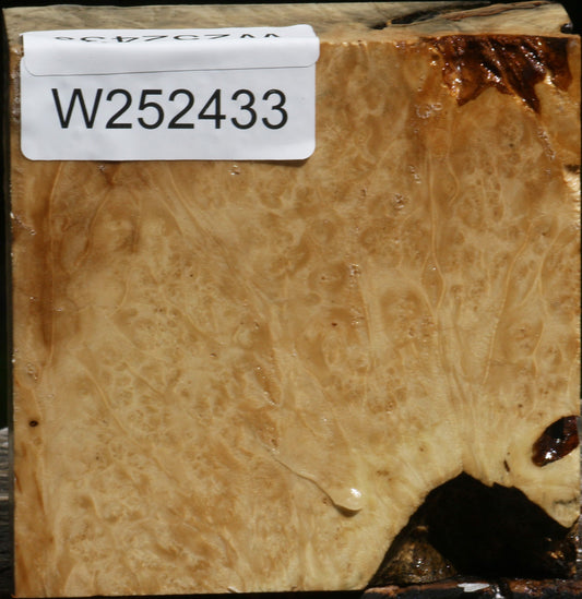 Box Elder Burl Bowl Blank