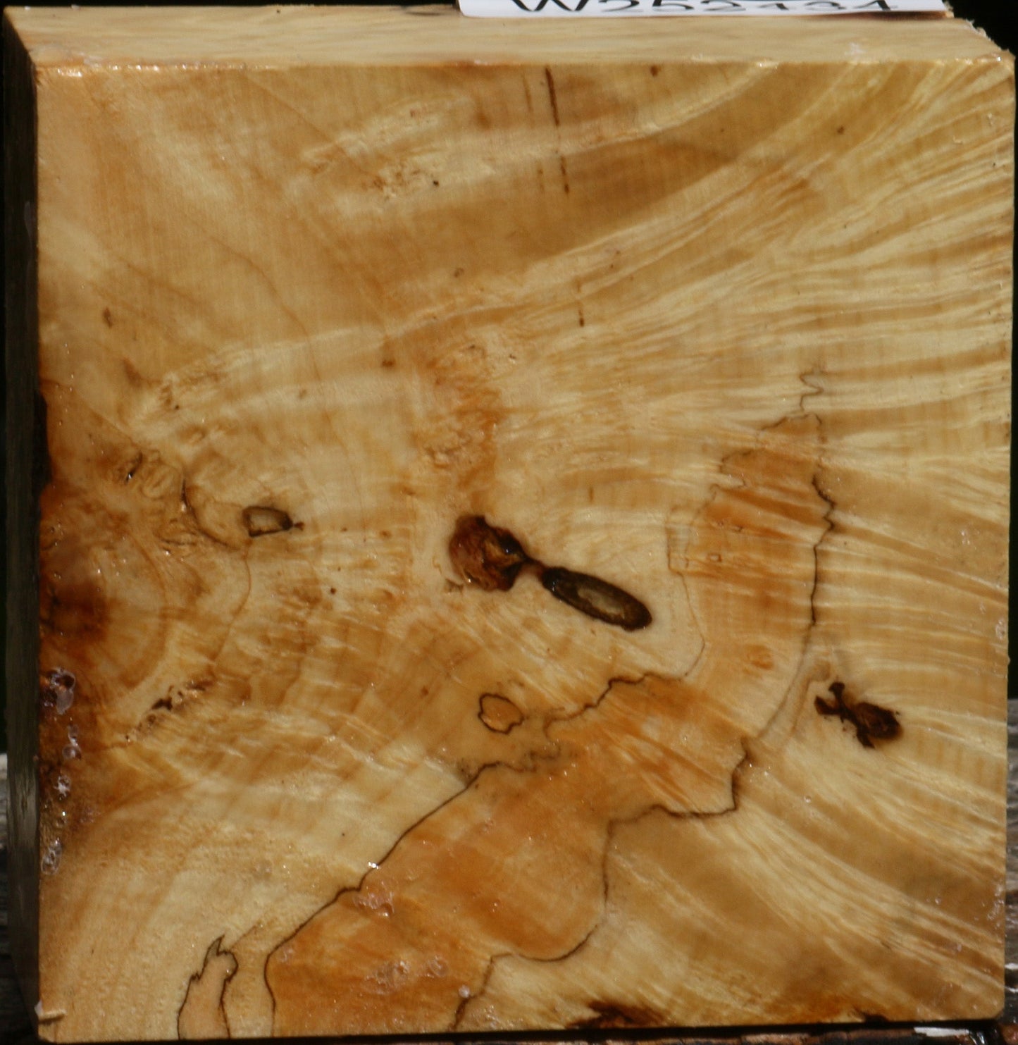 Box Elder Burl Bowl Blank