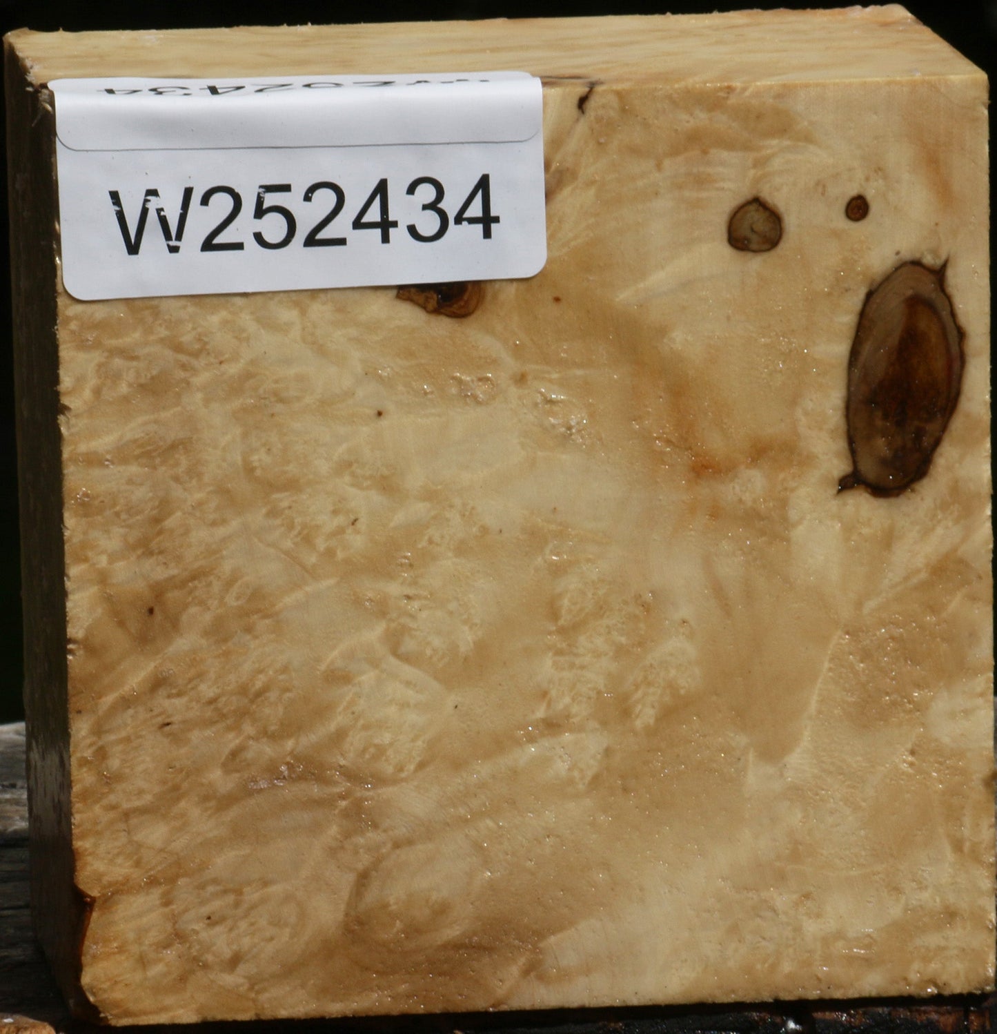 Box Elder Burl Bowl Blank