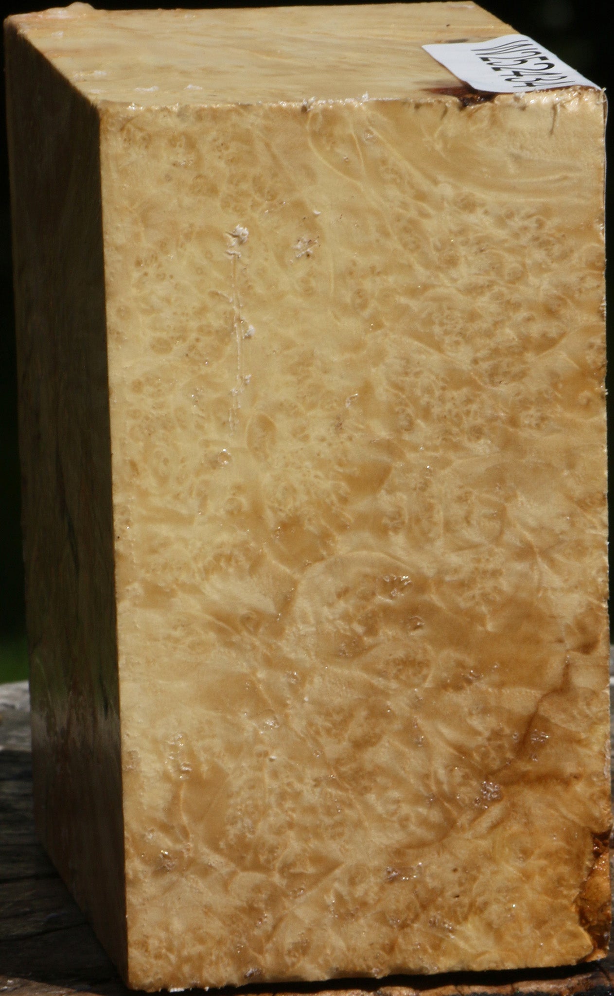 Box Elder Burl Bowl Blank