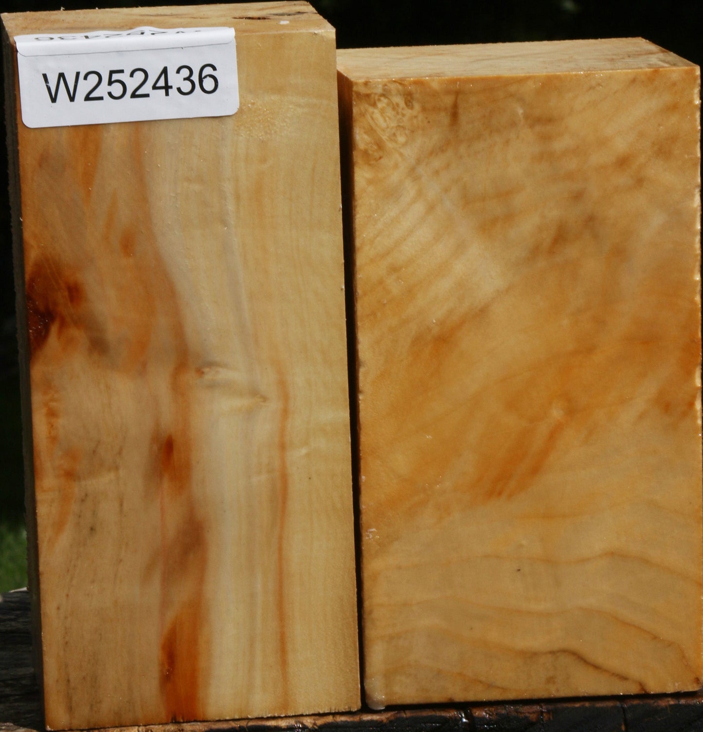 Box Elder Turning Square 2 Pack