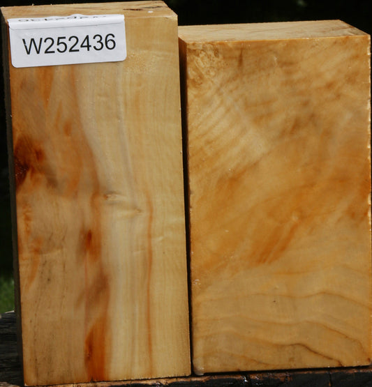 Box Elder Turning Square 2 Pack