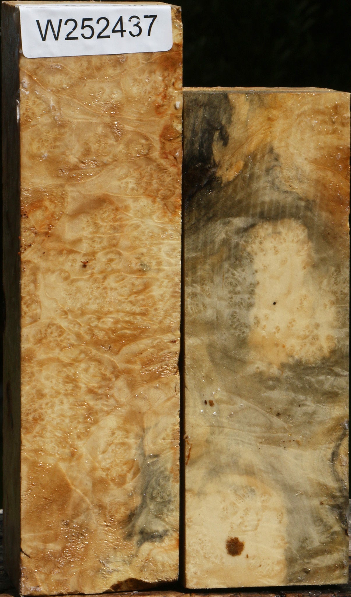 Box Elder Turning Square 2 Pack