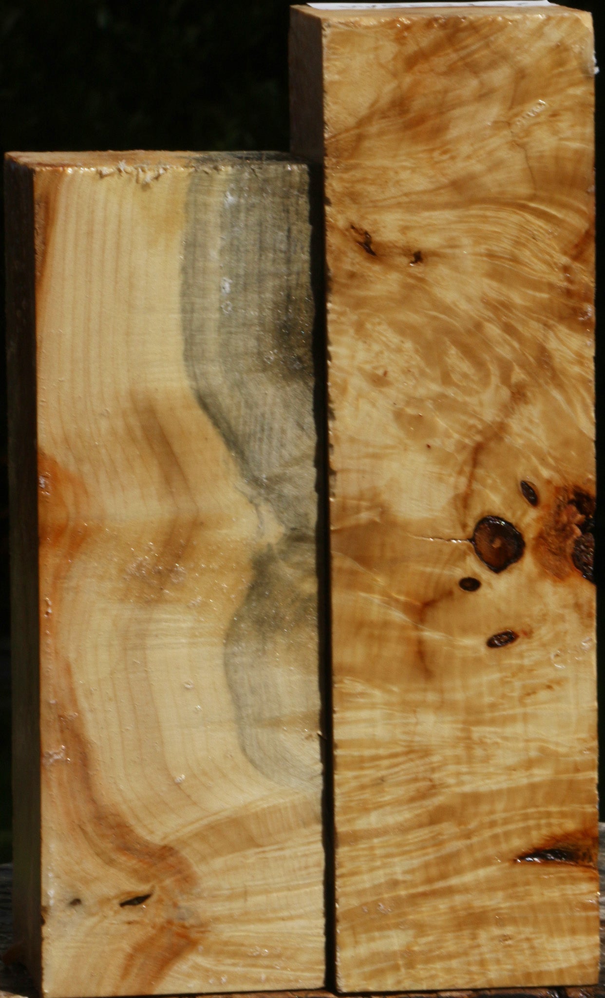 Box Elder Turning Square 2 Pack