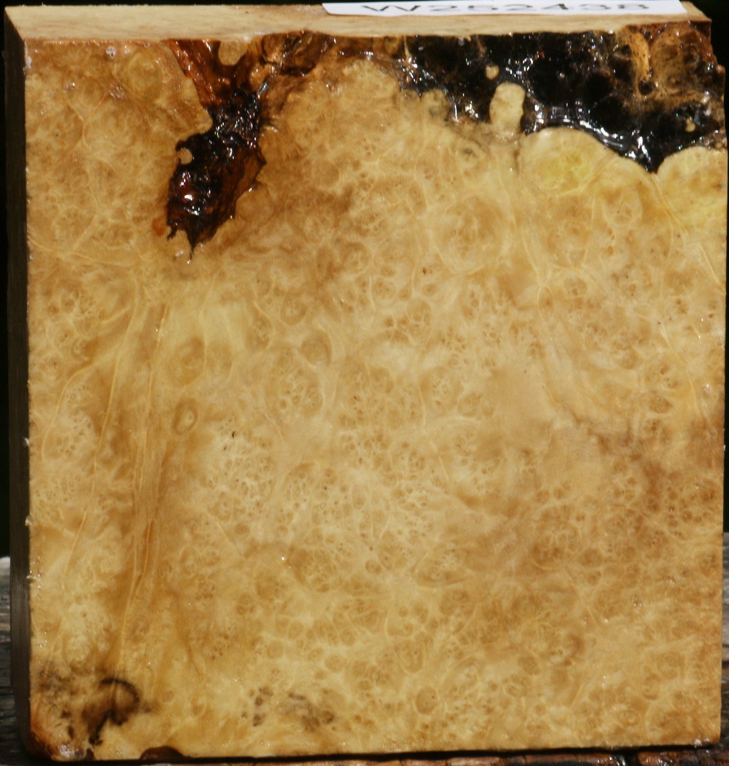 Box Elder Burl Bowl Blank
