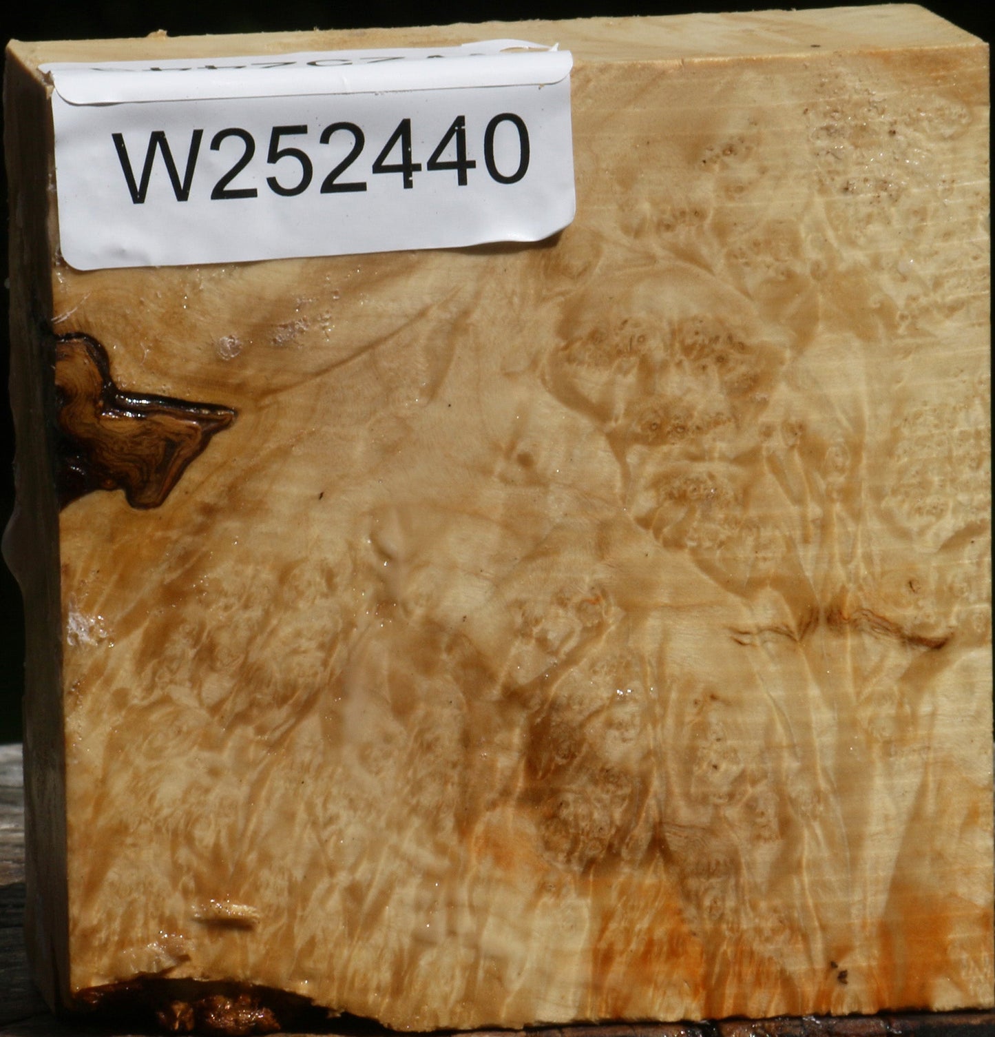 Box Elder Burl Bowl Blank